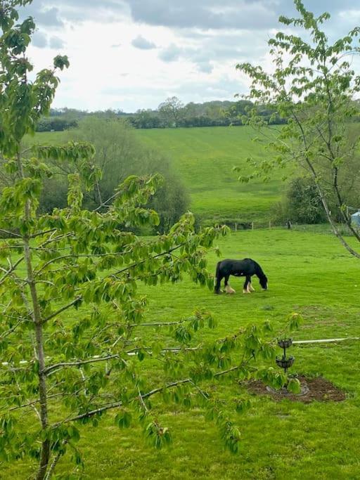 Willa Field View Braunston  Zewnętrze zdjęcie